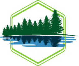 Pond Water Algae Control