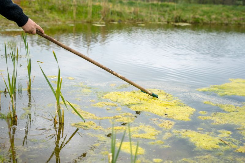Local Pond Water Algae Control pros at work