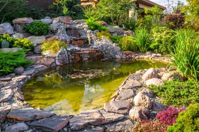 Garden Pond Installation