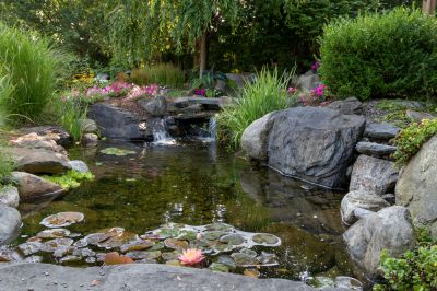 Remove Debris and Algae from Your Pond!